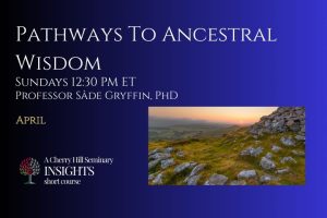 Pathways to Ancestral Wisdom, photo of stony hillside