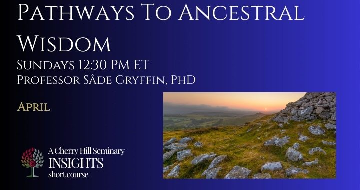 Pathways to Ancestral Wisdom, photo of stony hillside